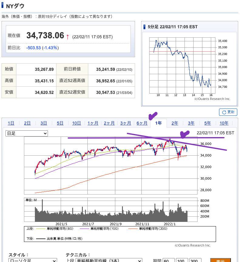 （出典）SBI NYDW 20220213