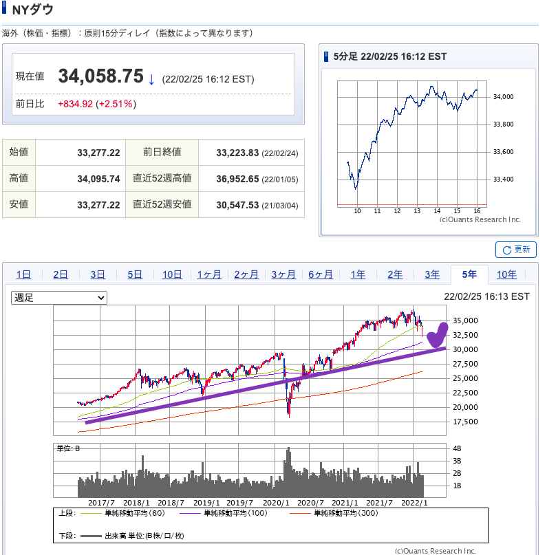 （出典）SBI NYDW 20220226