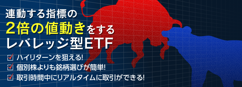 （出典）SBI レバレッジ型ETF