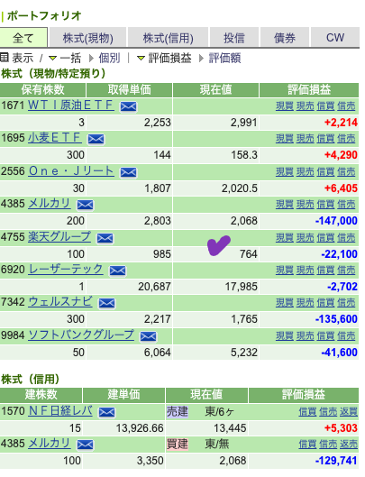 my portfolio JPN 220521