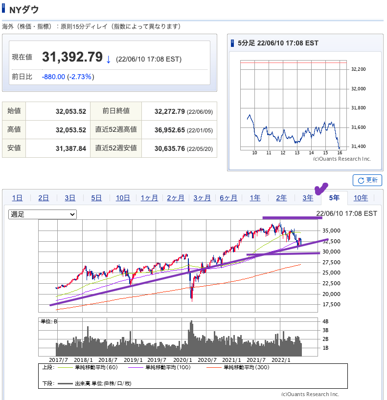 出典）SBI NYDW 220611 5y