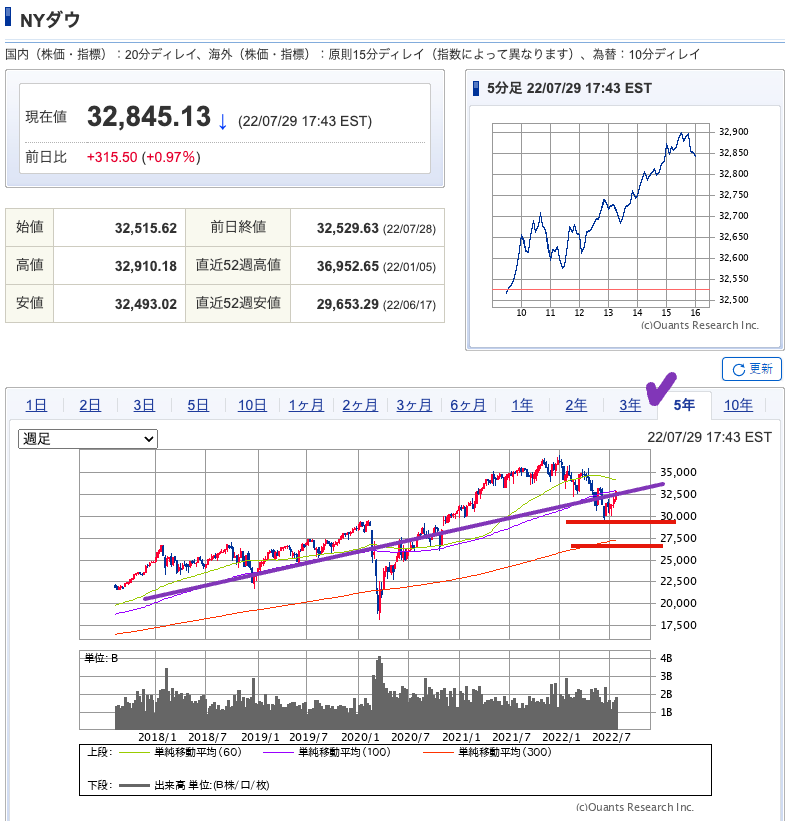 出典）SBI NYDW 5y 220731