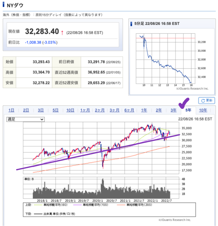 出典）SBI NYDW 220827