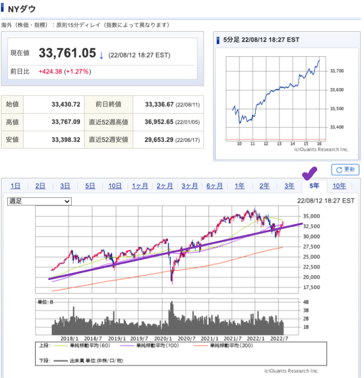 出典）SBI NYDW 5y 220814