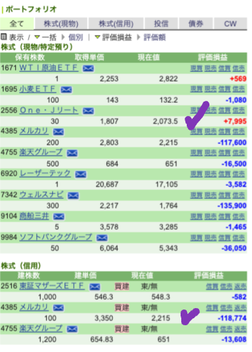 my portfolio JPN 220924