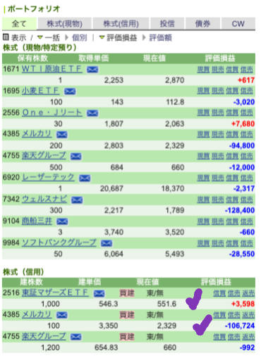 my portfolio JPN 220904