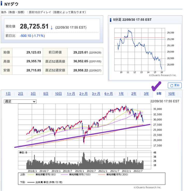 出典）SBI NYDW 5y 221002