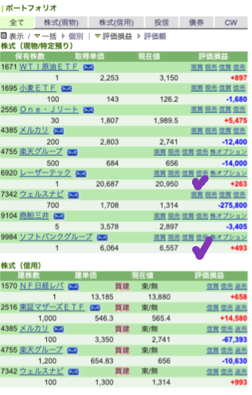 JPN portfolio 221104