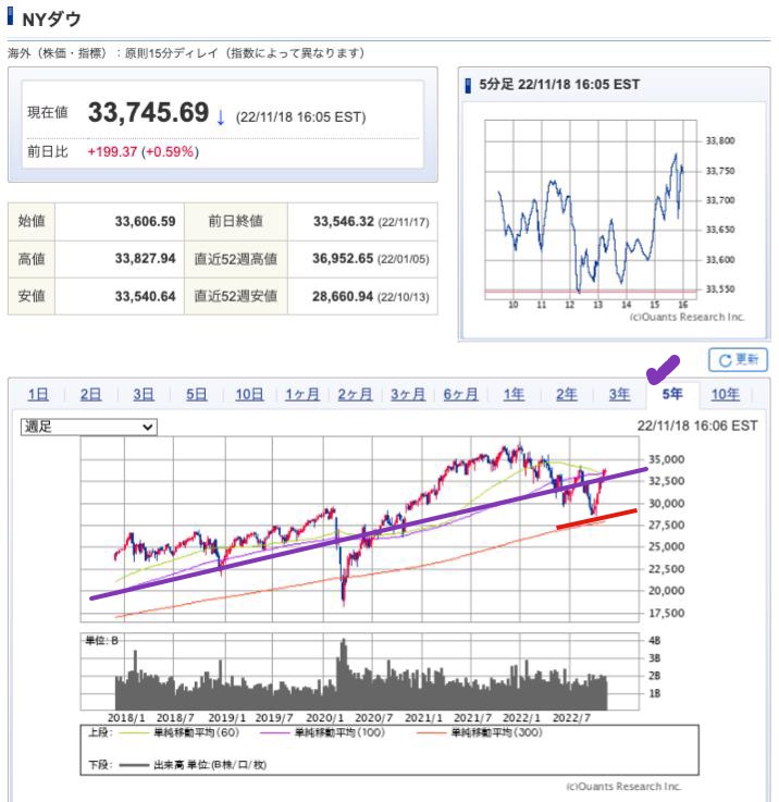 出典）SBI NYDW 5y 221119