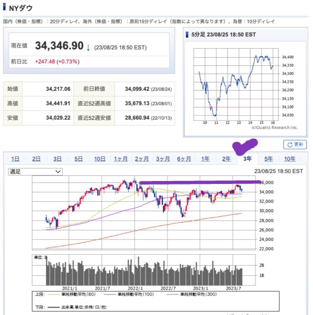 出典）SBI NYDW 3y 230826